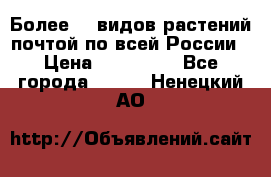 Более200 видов растений почтой по всей России › Цена ­ 100-500 - Все города  »    . Ненецкий АО